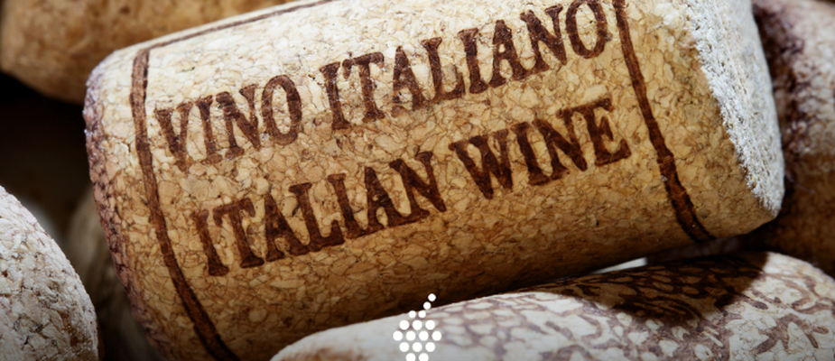Vinhos Italianos: Regiões, Uvas e Rótulos Imperdíveis