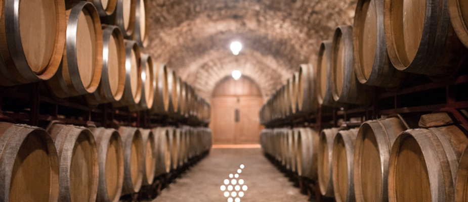 Descobrindo os Encantos dos Vinhos Reserva