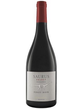 Vinho Familia Schroeder Tinto Seco Argentina Saurus Select Pinot Noir 750ml