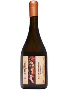 Vinho Vivalti Branco Seco Brasil Macerato Alvarinho 750ml