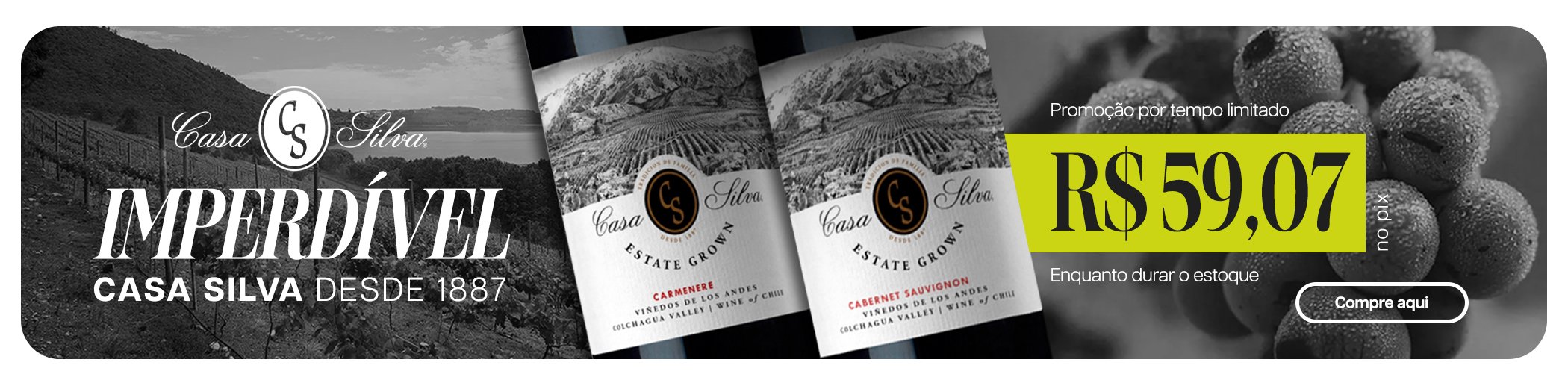 casasilva banner