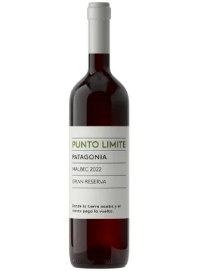 Vinho Punto Máximo Tinto Seco Argentina Gran Reserva Malbec 750ml