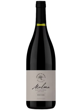Vinho Bodega Malma Tinto Seco Argentina Chacra La Papay Reserve Family Wines Pinot Noir 750ml