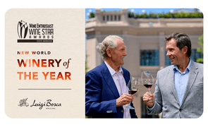 imagens capa blog luigi bosca