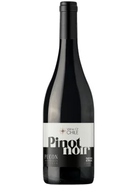 Vinho Viña de Aguirre Tinto Seco Chile Pucon Reserva Pinot Noir 750ml