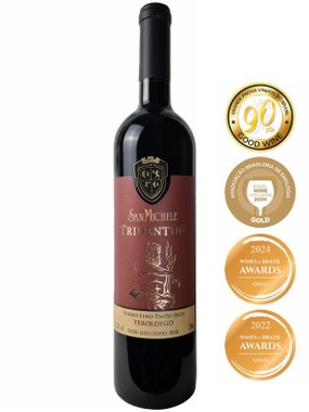 Vinho Vinícola San Michele Tinto Seco Brasil Teroldego 750ml