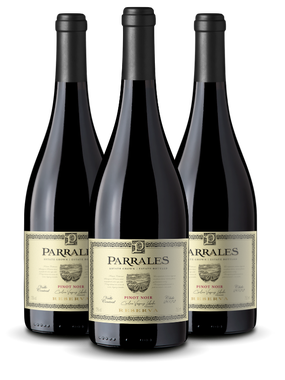 Vinho Parrales Tinto Seco Chile Reserva Pinot Noir 750ml - 3 Unidades