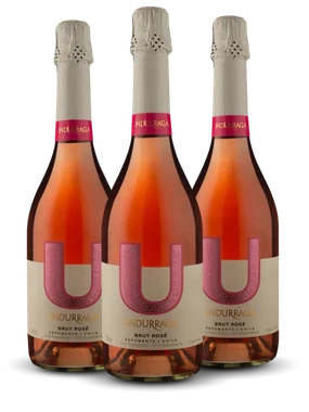 Espumante Undurraga Rosé Brut Chile U Pinot Noir 750ml - 3 Unidades