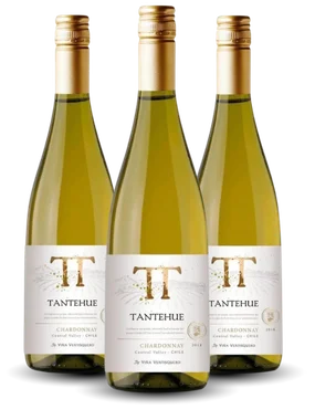 Vinho Ventisquero Branco Seco Chile Tantehue Chardonnay 750ml - 3 Unidades