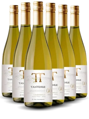 Vinho Ventisquero Branco Seco Chile Tantehue Chardonnay 750ml - 6 Unidades
