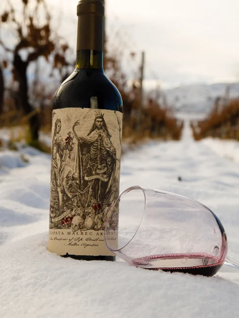 Vinho Tinto Catena Zapata Malbec Argentino 750 mL