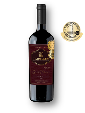 Vinho Parrales Tinto Seco Chile Gran Reserva Carménère 750ml