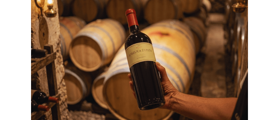 Vinhos Angelica Zapata: vale a pena o preço?