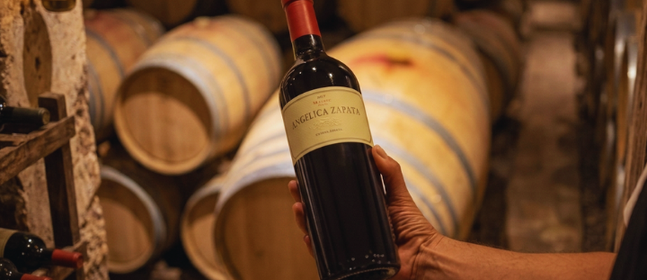 Vinhos Angelica Zapata: vale a pena o preço? Vinhos Angelica Zapata: vale a pena o preço?