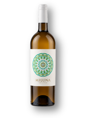 Vinho San Marzano Branco Seco Itália Miluna Chardonnay, Malvasia 750ml