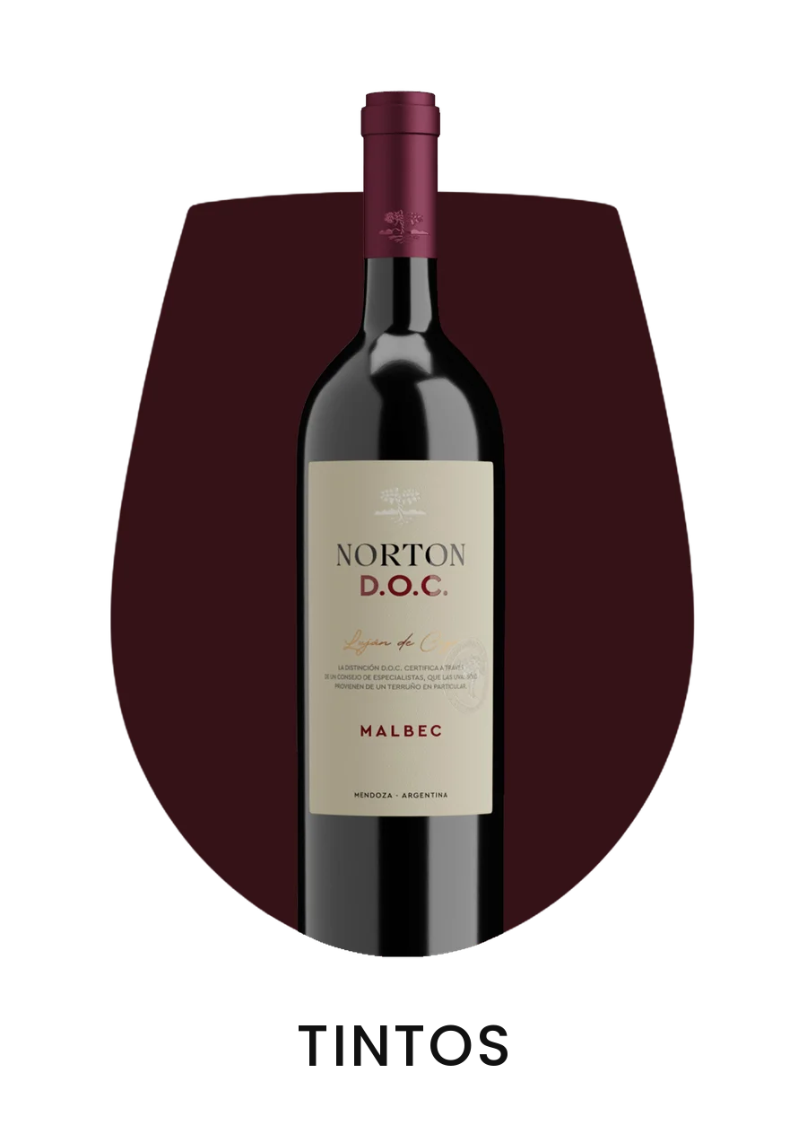 Categoria de vinhos tintos na Cia do Vinho