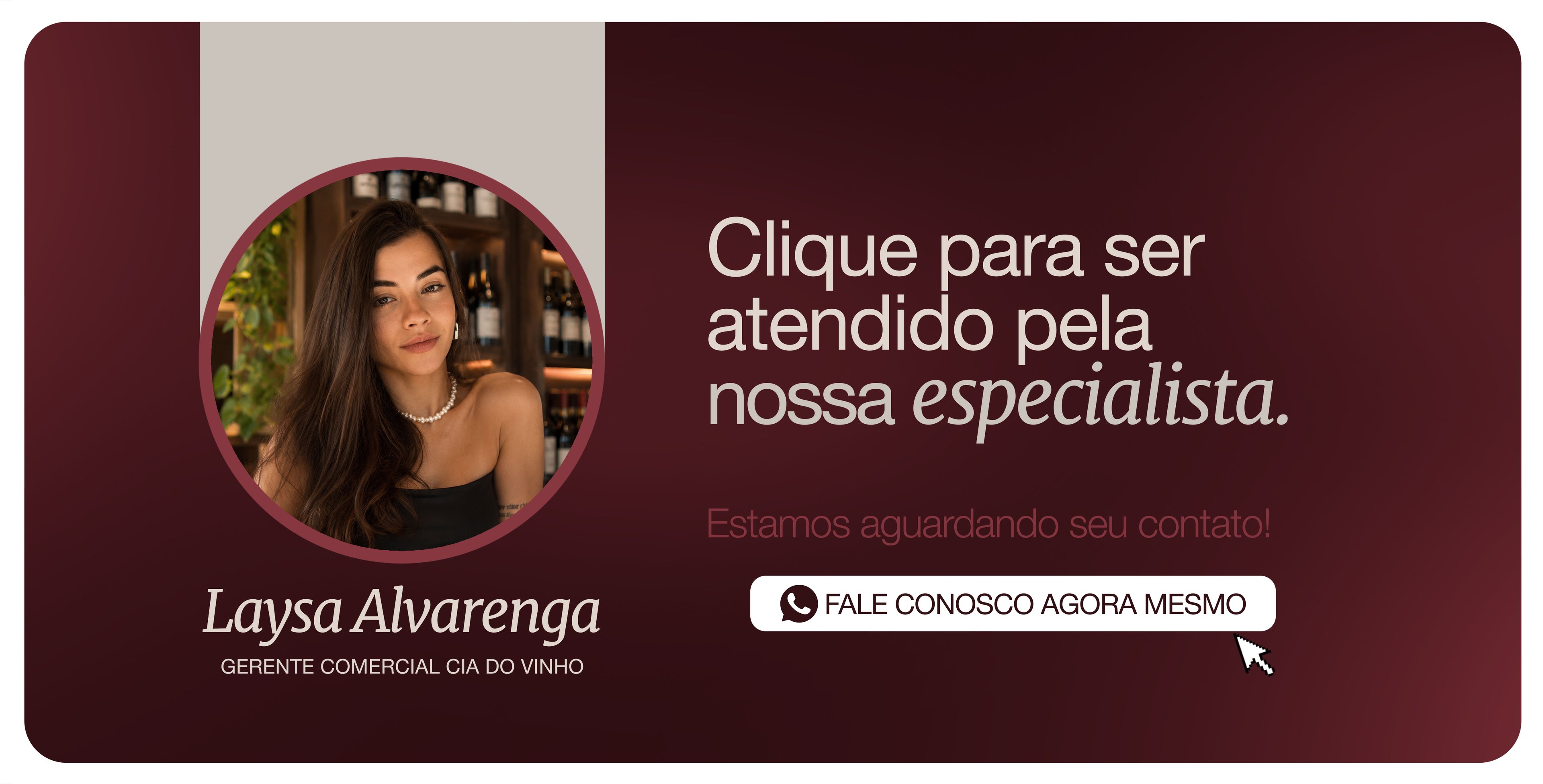 Banner fixo de atendimento da Cia do Vinho: fale com um especialista